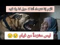 هجوم كلب على سيده عجوز فى شمال غزه حسبنا الله ونعم الوكيل هجوم كلب على سيده عجوز فى شمال غزه حسبنا الله ونعم الوكيل