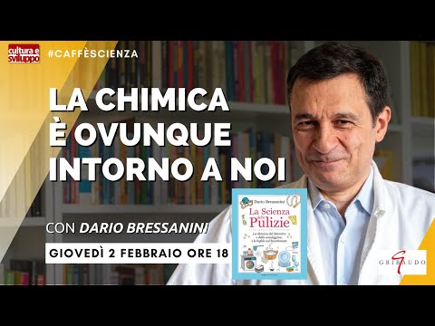 Video: Quindi ti trasferisci in una nuova casa per cani 