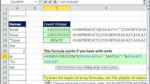 Excel Magic Trick 620: Count Unique Items in List - Robust Formulas & A Few Array Formula Tricks