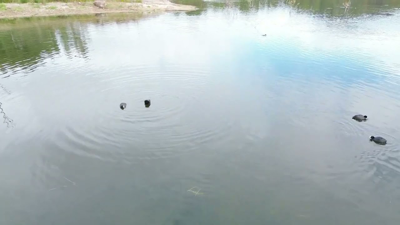 LAGO DI BARATZ - SARDEGNA (SS) 02/01/2024 - "DRONE DJJ MINI 3"