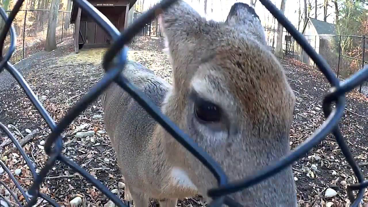 Mountain Biking Blue Hills YouTube