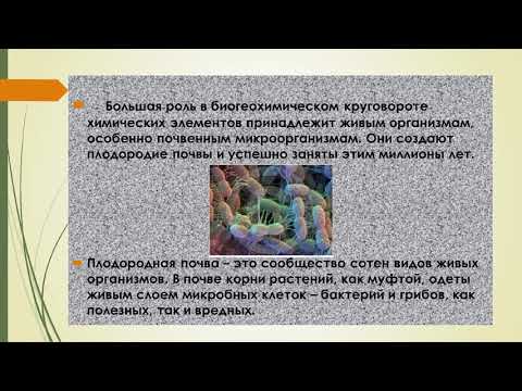 Здоровье почвенной экосистемы. Органическое земледелие
