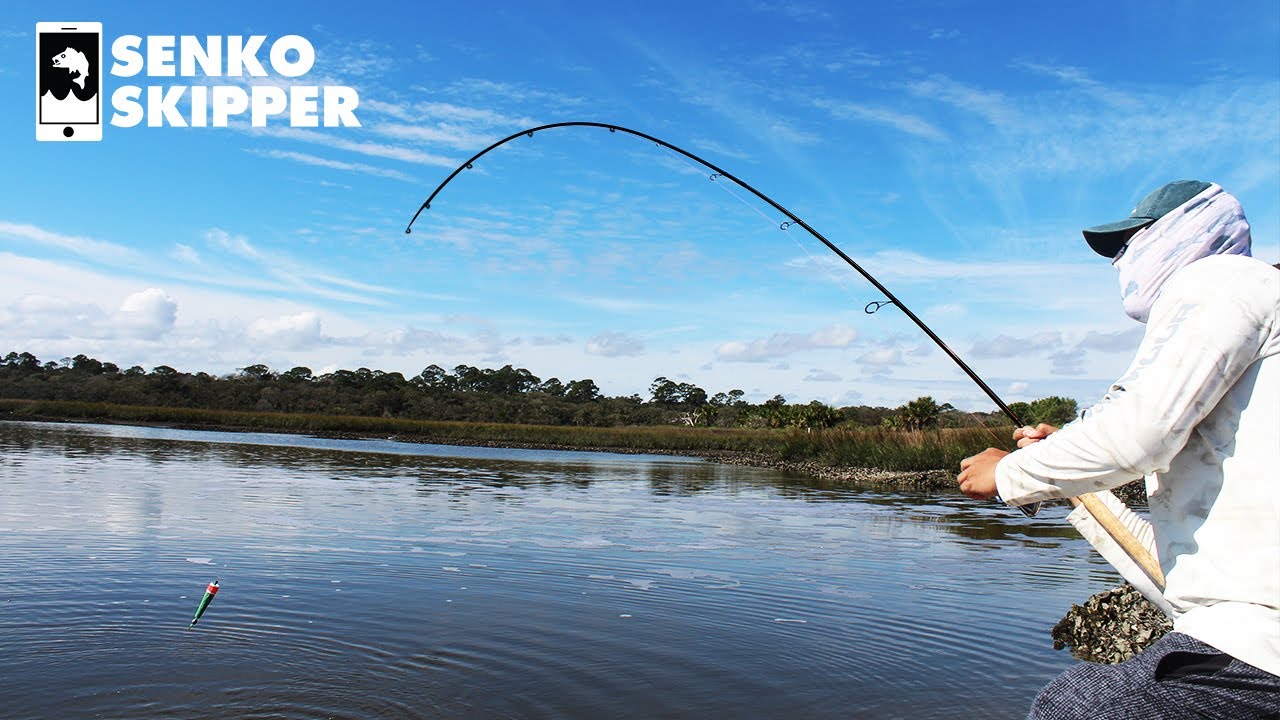 Saltwater Fishing From Shore / 8 Saltwater Fishing Tips You Need to Know : The secretary of