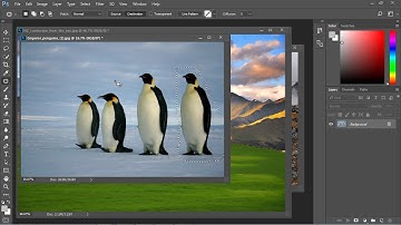 Photoshop Tutorial for Beginners - 10 - Patch Tool