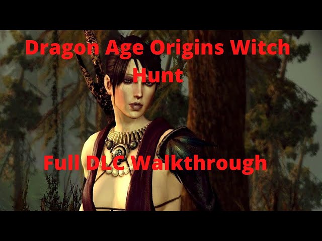 Dragon Age: Origins- Witch Hunt