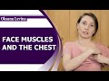 RELATIONSHIP OF THE FACE MUSCLES AND THE CHEST