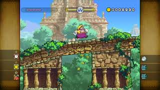 Wario Land Shake It Dimension Ratl Ruins - Stonecarving City 1-1