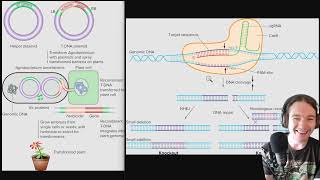 Genetics - Exam 5 - Transformation and CRISPR questions supplementary discussion