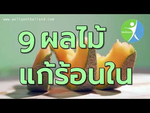 9ผลไม้แก้ร้อนใน WELLGENTHAILAND.COM