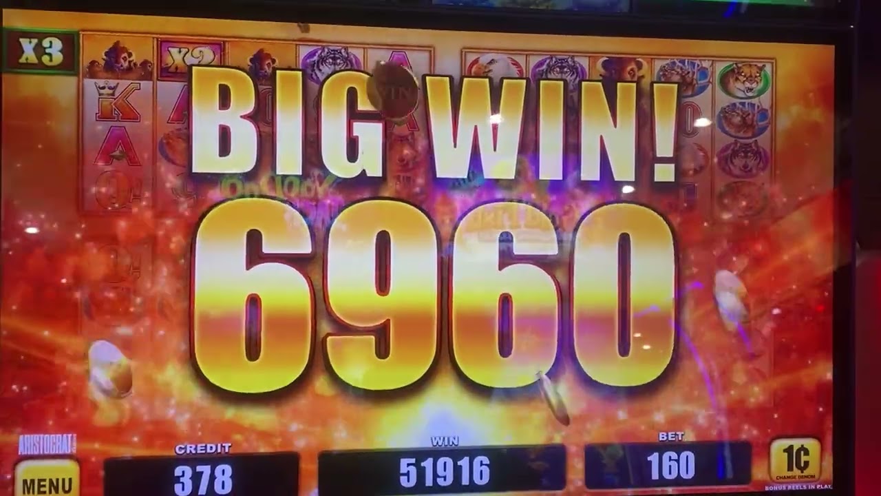 Buffalo and Friends! Big Win!! Part 2