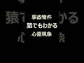 【事故物件】猿でもわかる心霊現象#37