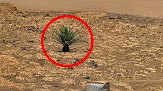 Perseverance Rover Captured New 4k Mars Planet Real Video on Sol 872 | Mars 4k Video | Mangal Grah