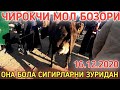 КАШКАДАРЁ ВИЛОЯТИ ЧИРОКЧИ МОЛ БОЗОРИ 2020 16-ДЕКАБР QASHQADARYO CHIROQCHI MOL BOZORI 2020 16-DEKABR