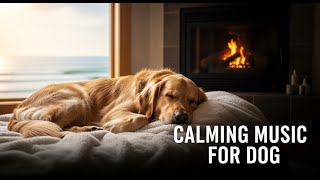 12 hours Dog Calming Music for Separation Anxiety Relief 🐾 Help Your Dog Sleep Peacefully 😴 Relax