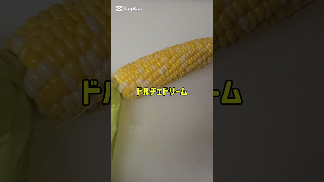 倉敷市　結婚式場　トウモロコシ　#shorts