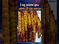 ఈ పువ్వులు పండిస్తే ఎకరాకు 10 లక్షల ఆదాయం.. 3 ఏళ్ళు వాడిపోని పువ్వులు ఇవి #viral