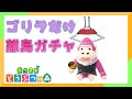 ゴリラだけを捕まえる離島ガチャ配信 最終日【あつ森】