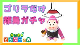 ゴリラだけを捕まえる離島ガチャ配信 最終日【あつ森】