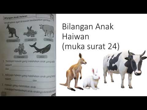 NOTA SAINS TAHUN 4 UNIT 3 HAIWAN Chang Tun Kuet buku skrap haiwan tahun 2