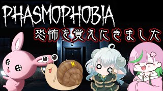 【ファズモフォビア】恐怖を覚えにきました【Vtuber/コラボ】