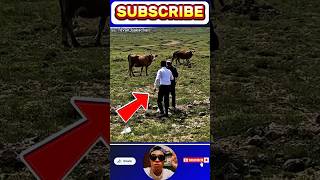 Download Lagu Aksi mulia supir ganteng ini bikin netizen terharu‼️ MP3