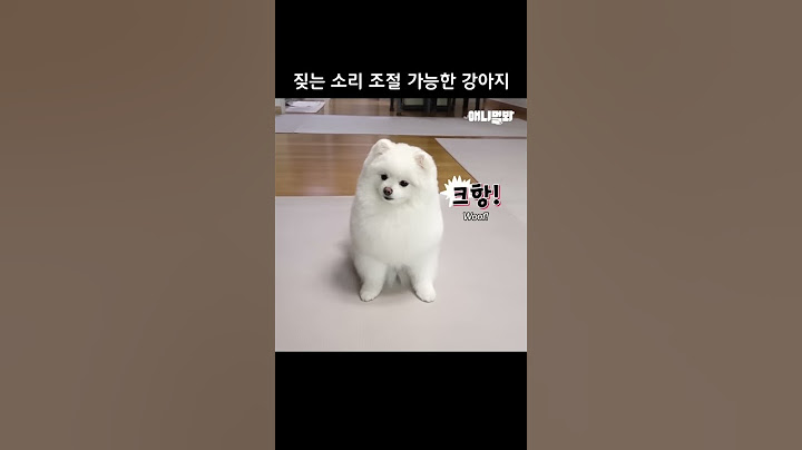 짖는 소리 조절 가능한 강아지ㅋㅋㅋ