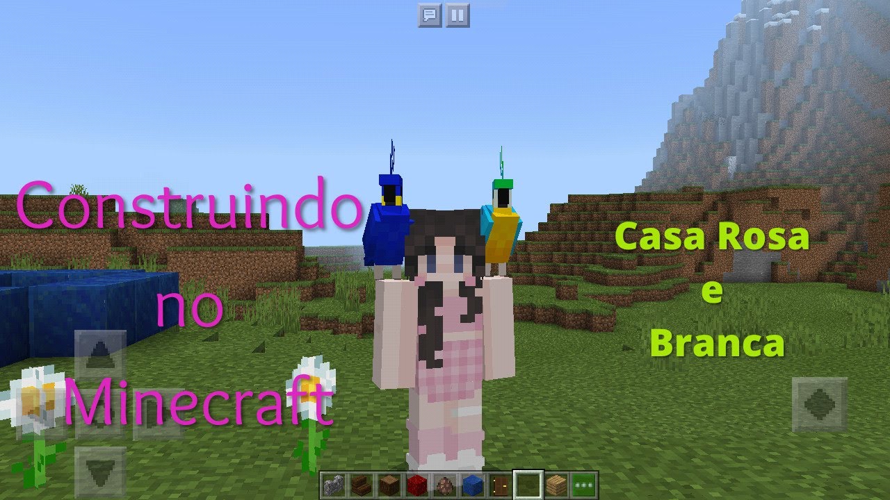 Minecraft - Construindo Casa Branca e Rosa Parte Externa - YouTube, image size:1280x720