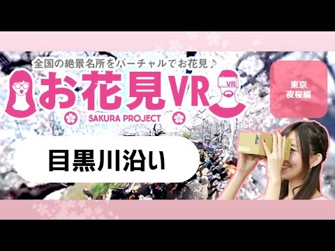 【お花見VR】360動画でエア花見！「東京夜桜編 目黒川沿い」 Sakura VR