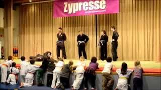 Vorführung Jiu Jitsu Fightclub Freiburg