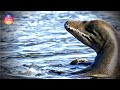 【UMA】2023年6月 アメリカで撮影！！パイエット湖の怪物