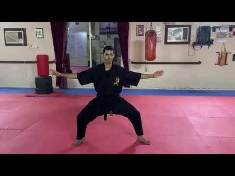 تعلم الدحرجة سكوهو كايتين لنينجا من وقوف