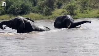 Sebakwe Goes Splashing While the Elephants Welcome Winter 💦🐘