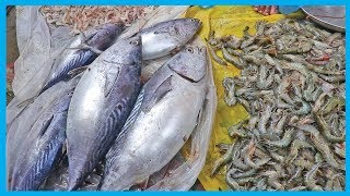 Exclusive Fresh Fish Market Near Me (Part 7) | Fish Corn