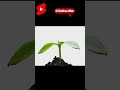 #blogvideo #shortblogs #facts
