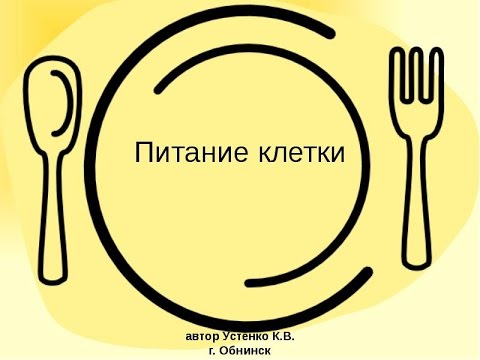 Питание клетки. Урок биологии.