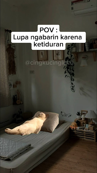 Panggilan tak terjawab, pesan tak terbaca banyak banget | #kucing #kucinglucu #meme #shortvideo