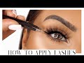 HOW TO APPLY FALSE LASHES FOR BEGINNERS | 5 SIMPLE STEPS.