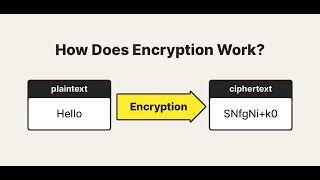 What Is Encryption and Why It’s Important, Real-world messaging apps banking, and internet security