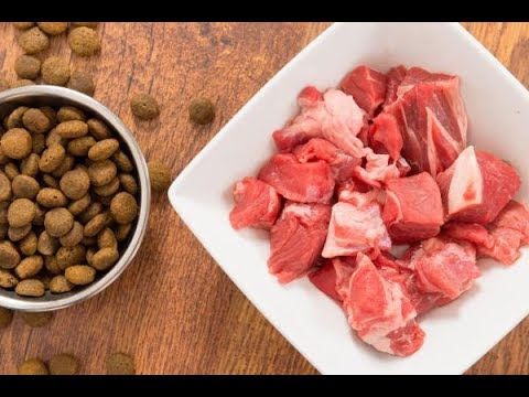 ALIMENTACIÓN DE UN CACHORRO PITBULL (APBT) Cómo Debe Ser La Alimentación De Un Pitbull Cachorro
