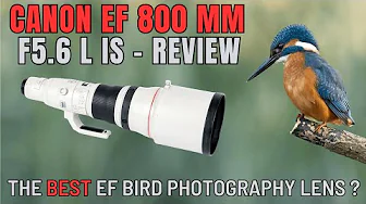 Is the Canon EF 800mm THE ULTIMATE BIRD Photography Lens?