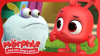 Gobblefrog | Available On Disney+ And Disney Jr