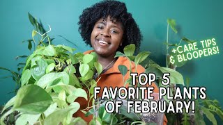 TOP FIVE FAVORITE HOUSEPLANTS OF FEBRUARY! | +Plant Care Tips & Bloopers