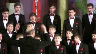 Boys&#39; Choir Dagilelis. V.Miškinis - Ubi Caritas