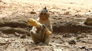 Baby Gabriel Slowly Eating Fruit Not Much Greedy And less Interesting Forage Food. How He Living?