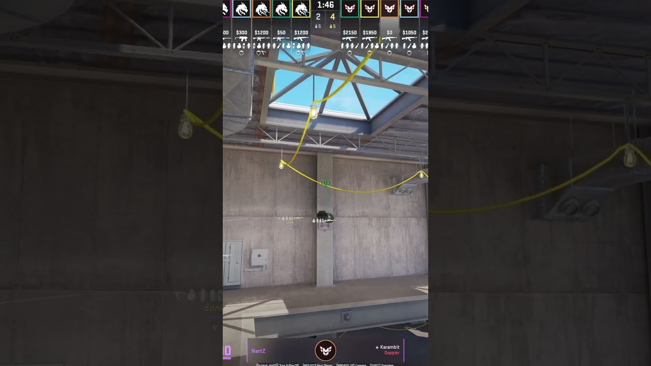 NertZ Vertigo Flash Owns DONK in CS2