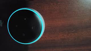 Alexa - Samuel L Jackson Jokes