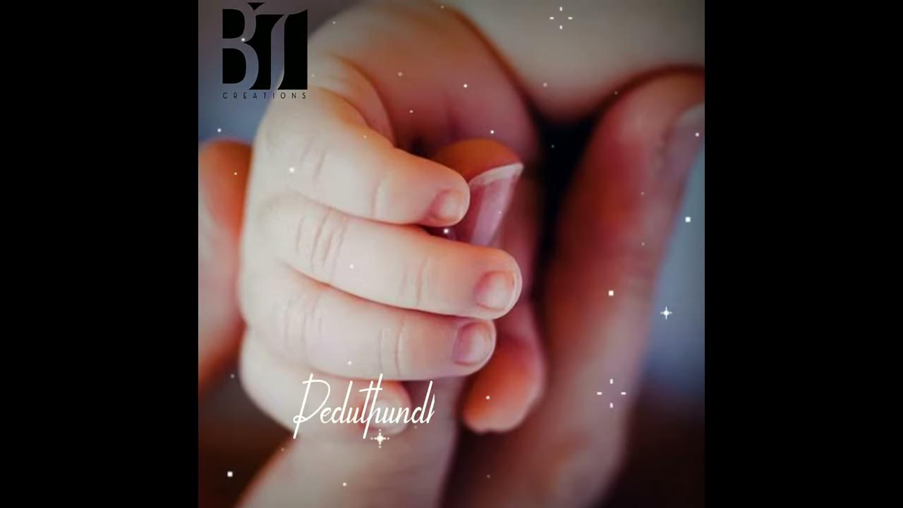 Pedave palikina mattalone song lyrics wtsapp status