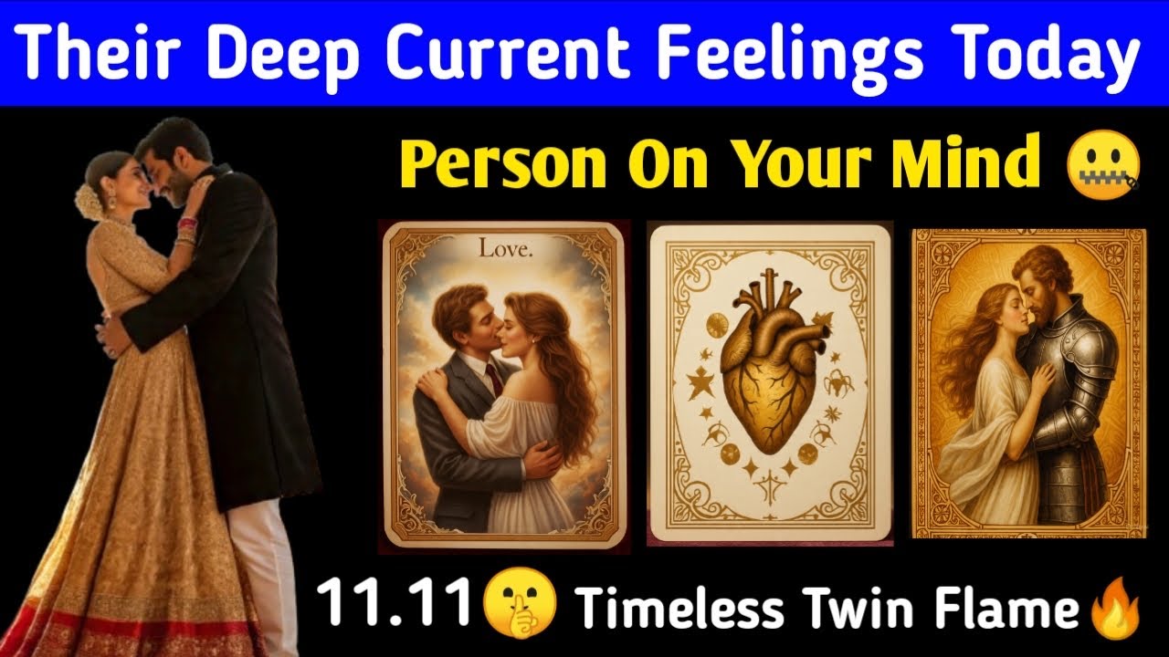11.11 Twin Flame | Person On Your Mind 🤫 Their Deep Current Feelings Today