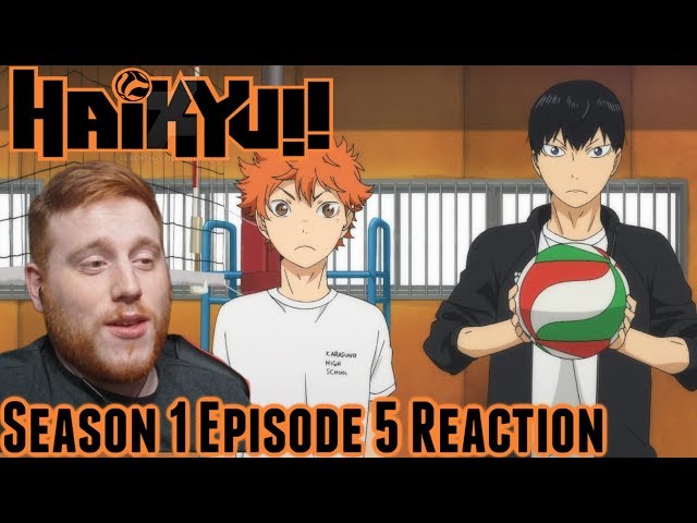 Haikyuu Season 1 Reaction – TheLifeOfLyle