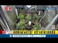 檳榔攤內藏&quot;祕密花園&quot;! 老闆&quot;斜槓&quot;種大麻賣遭逮 越南女每月需寄回25萬貼補家用 走頭無路竟兼職販毒│記者 孫宇莉│【LIVE大現場】20230324│三立新聞台